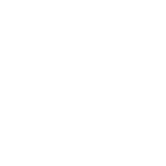 Our Vision